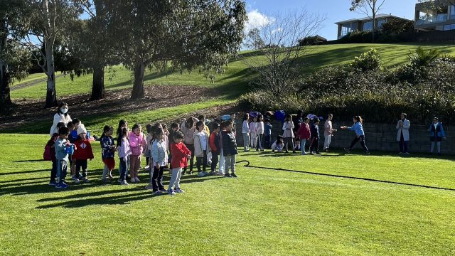 acde229efbd9ea8c098a790c82330dfa